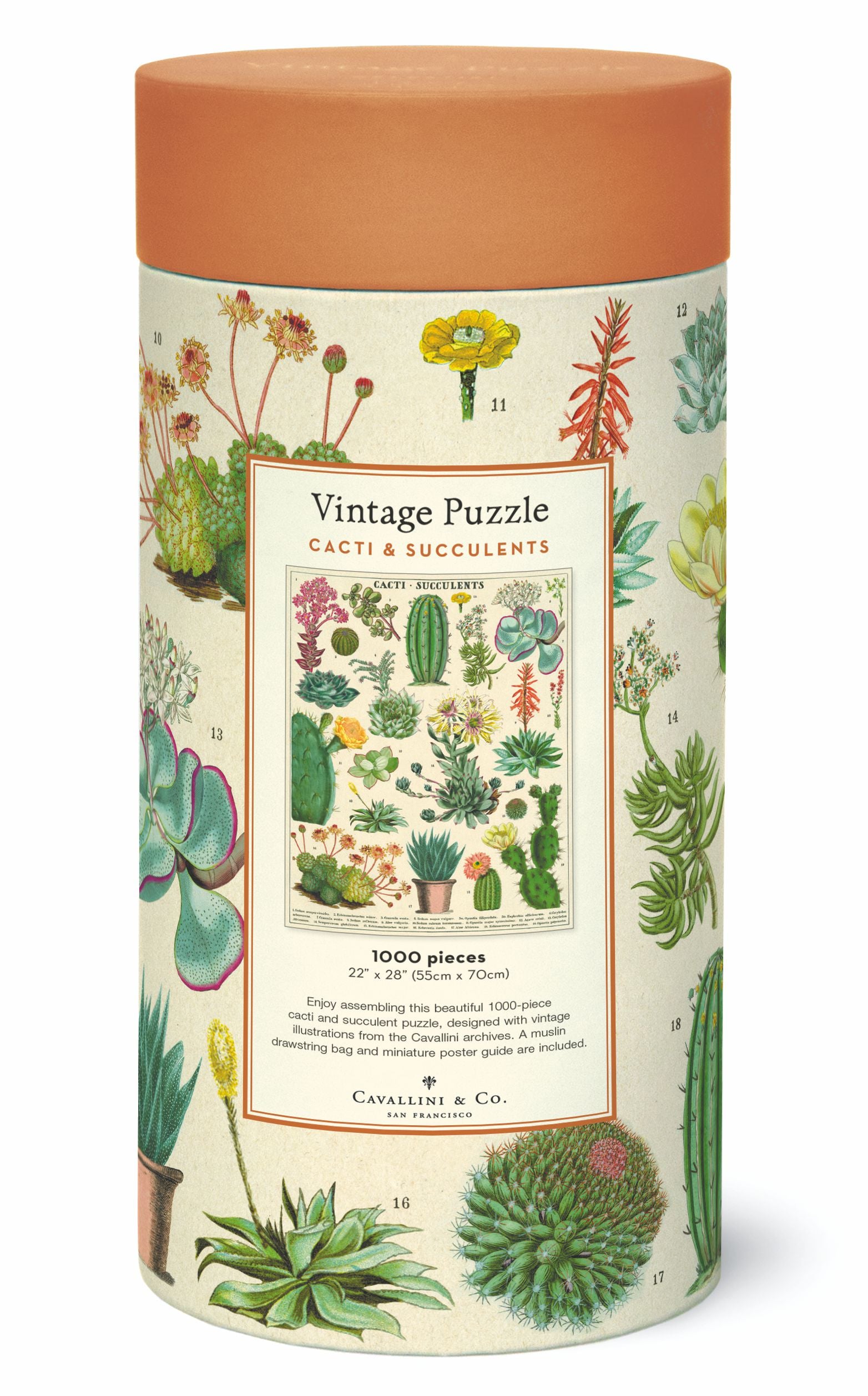 Cacti & Succulents Cavallini Puzzle 1000 Teile