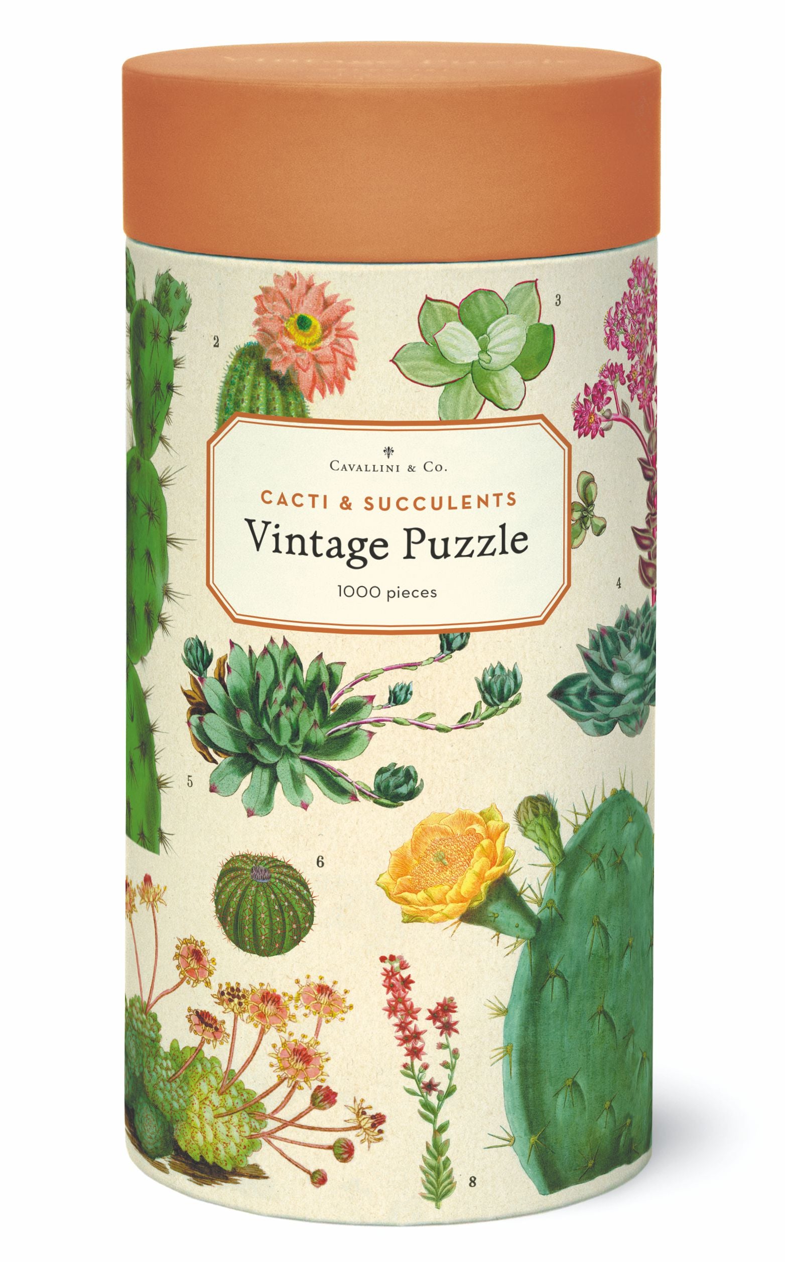 Cacti & Succulents Cavallini Puzzle 1000 Teile