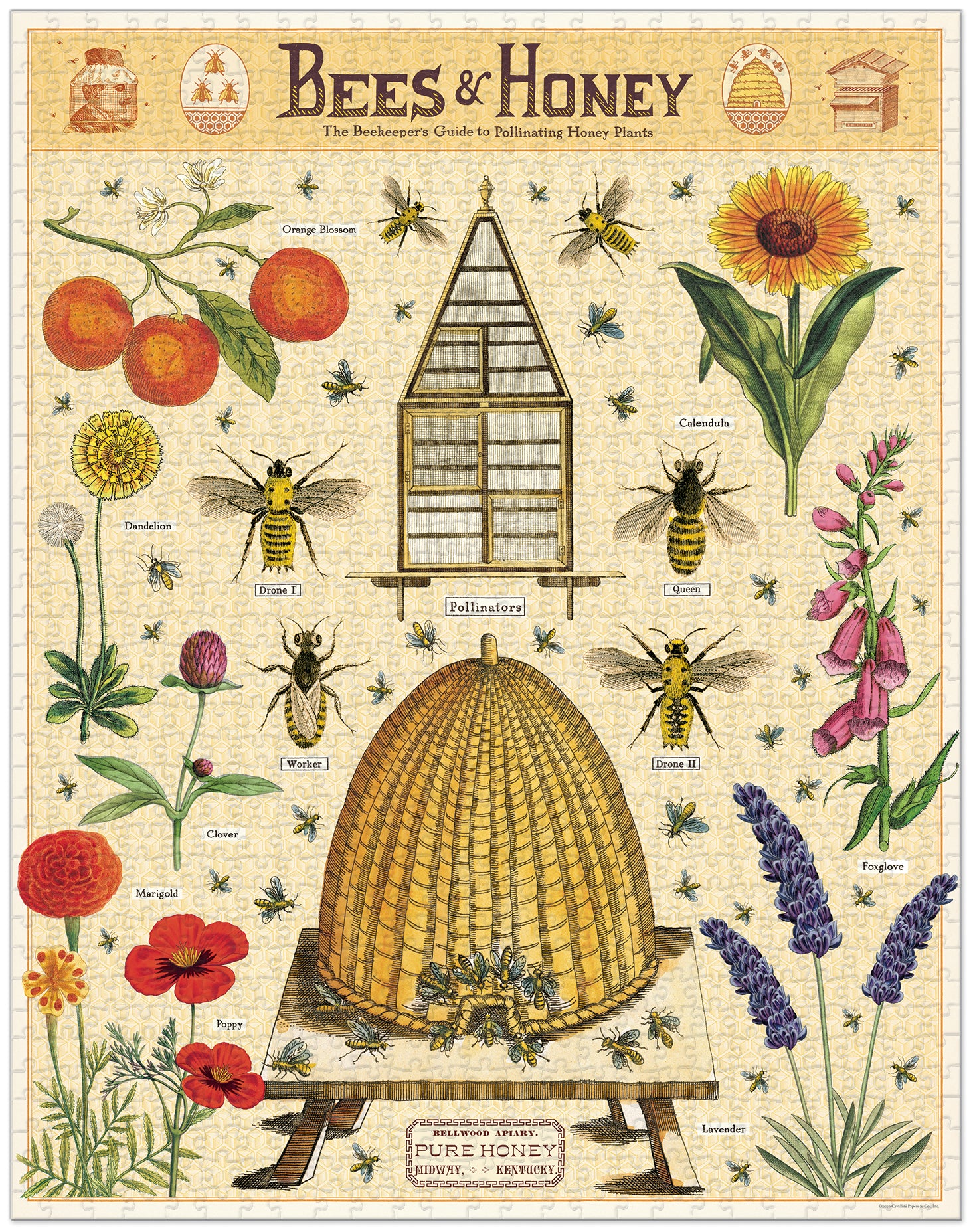 Bees & Honey 
Cavallini Puzzle 1000 Teile