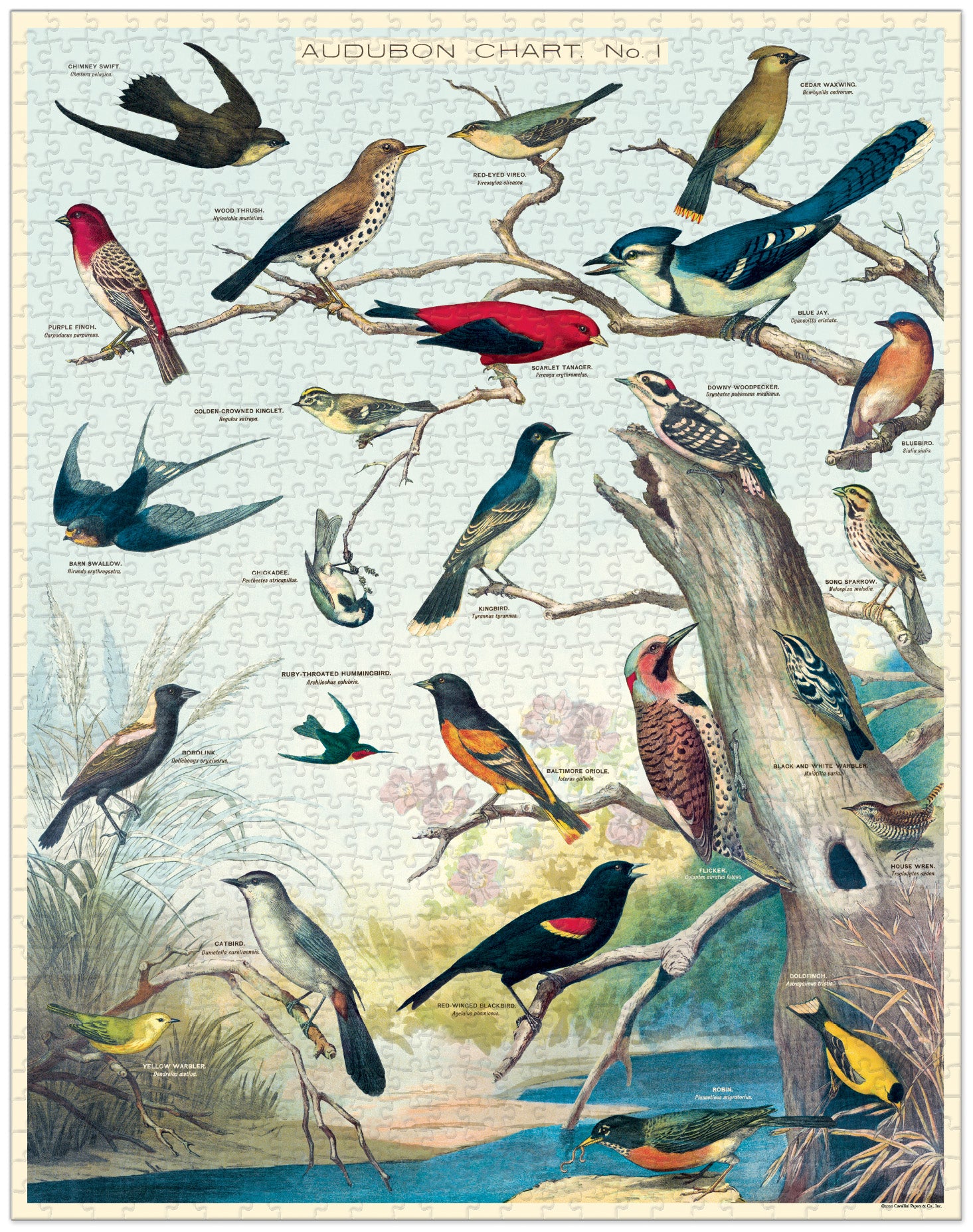 Birds Cavallini Puzzle 1000 Teile