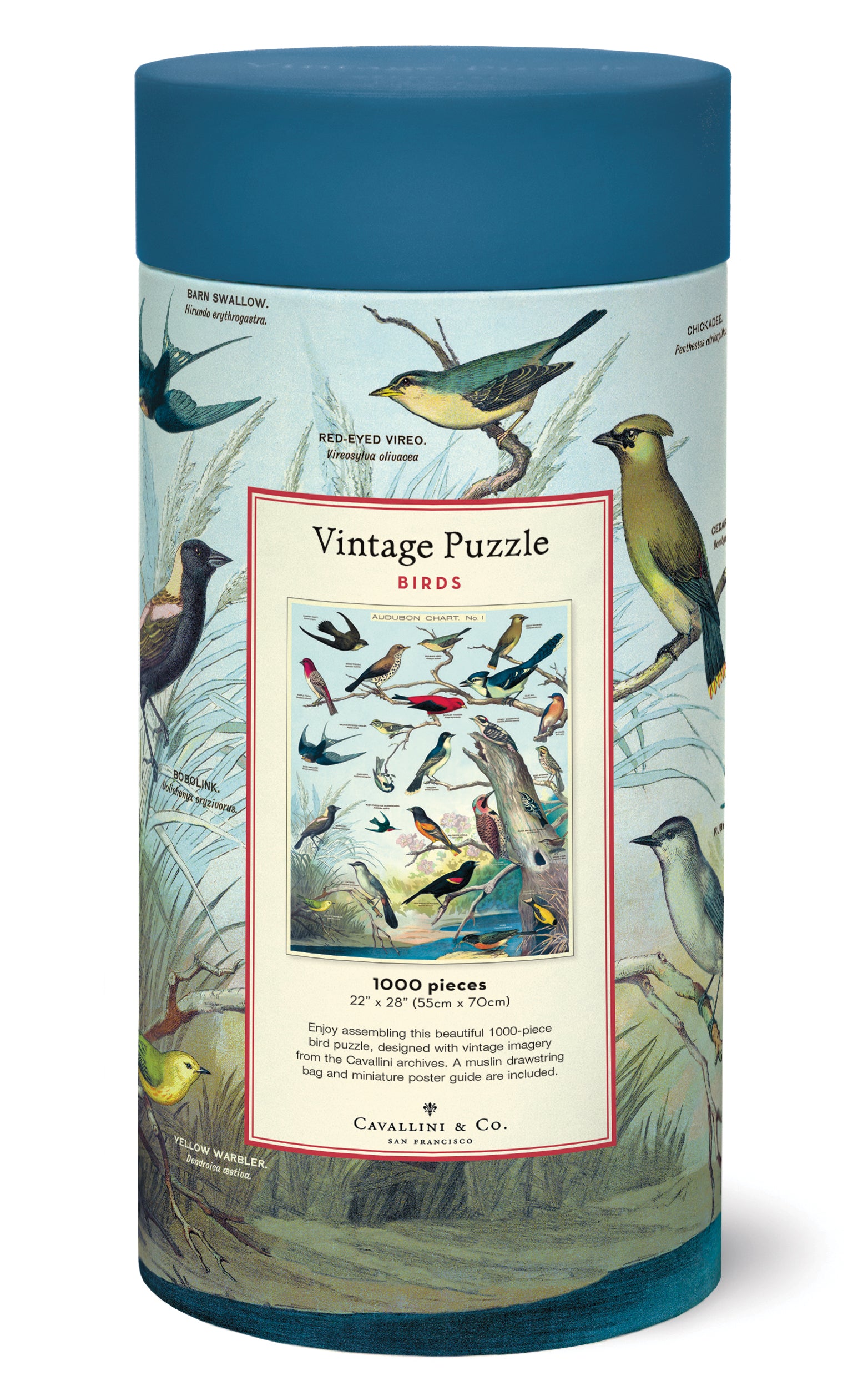Birds Cavallini Puzzle 1000 Teile