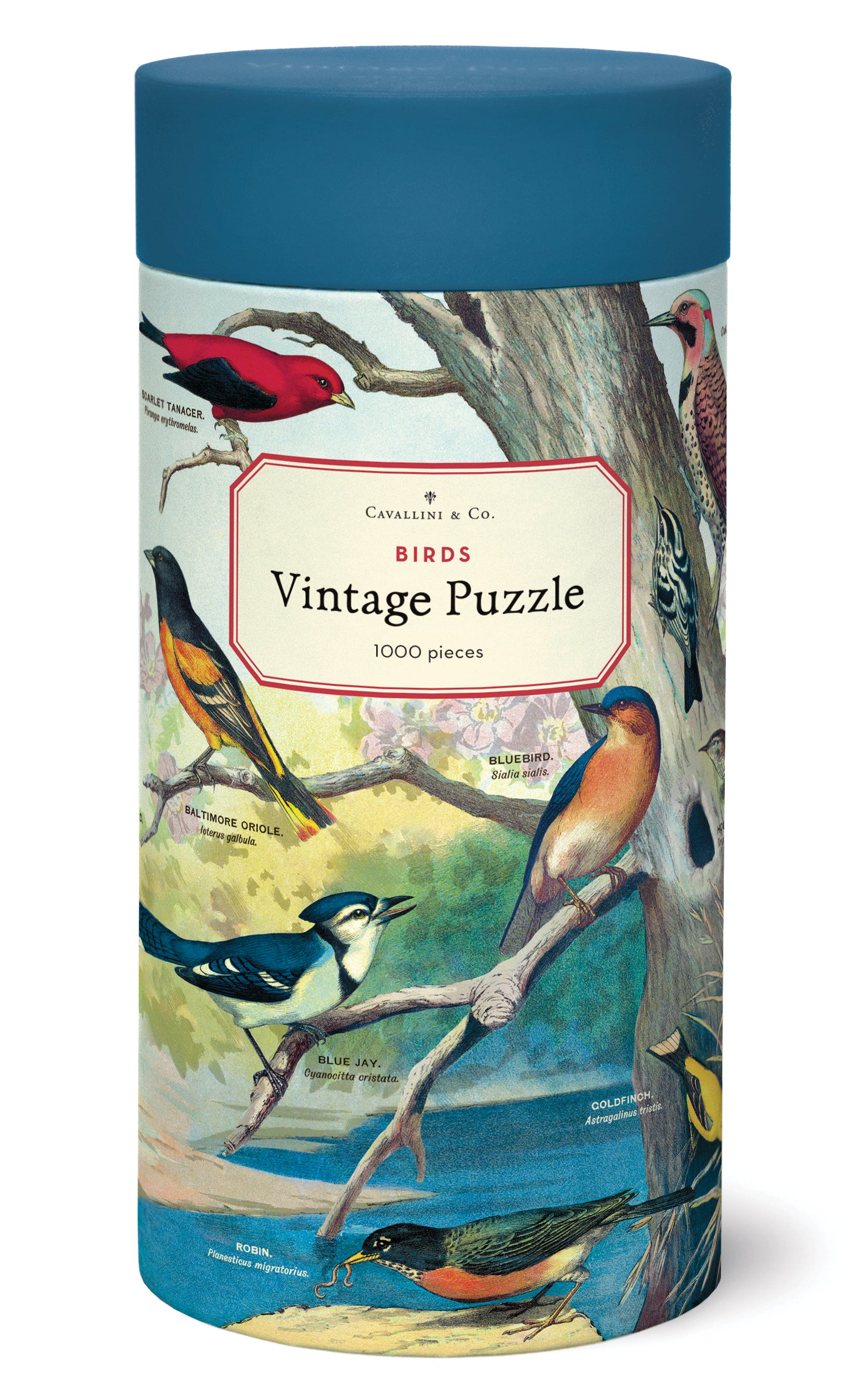 Birds Cavallini Puzzle 1000 Teile