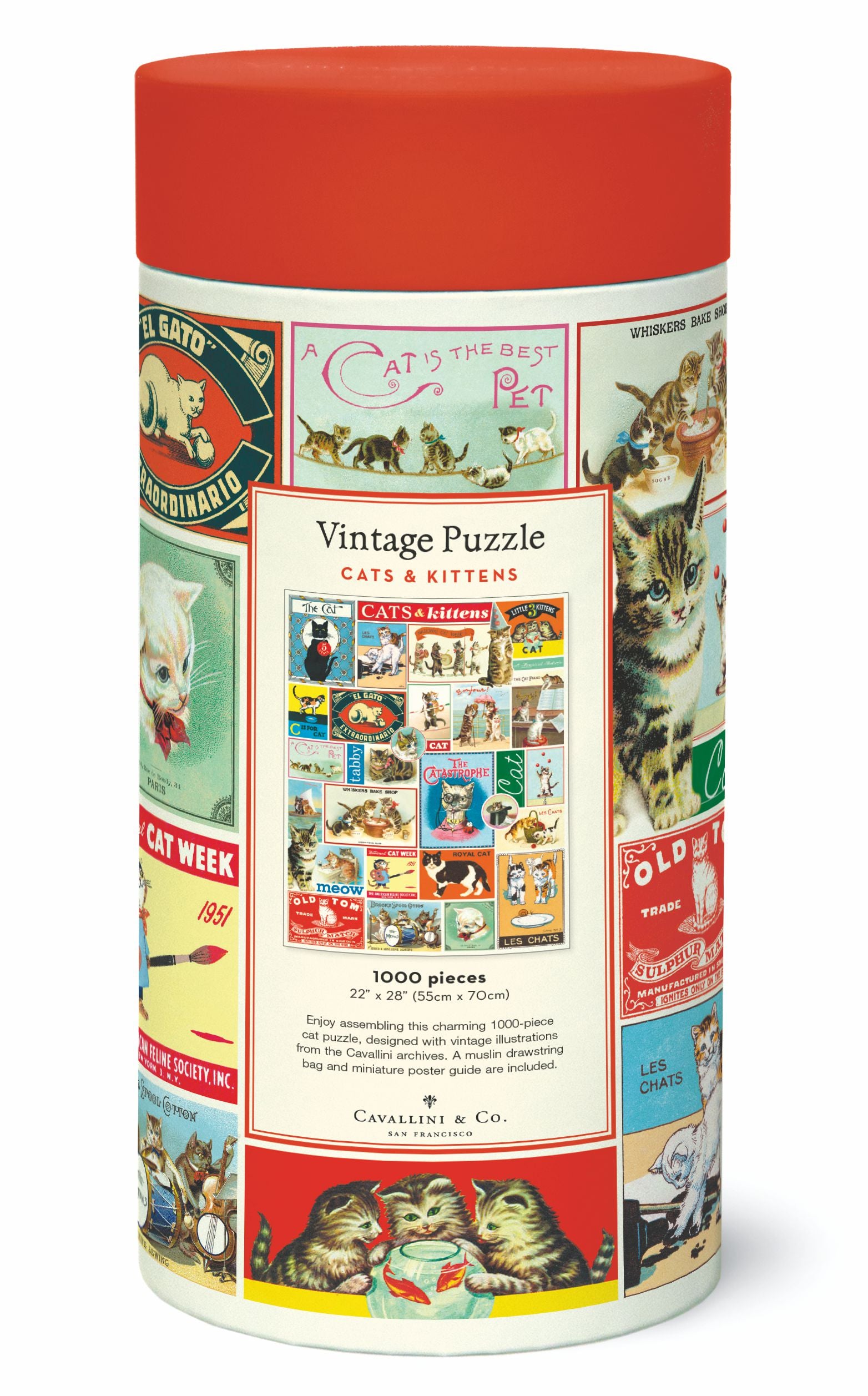 Cats & Kittens Cavallini Puzzle 1000 Teile