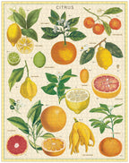 Citrus 
Cavalliine Puzzle 1000 Teile