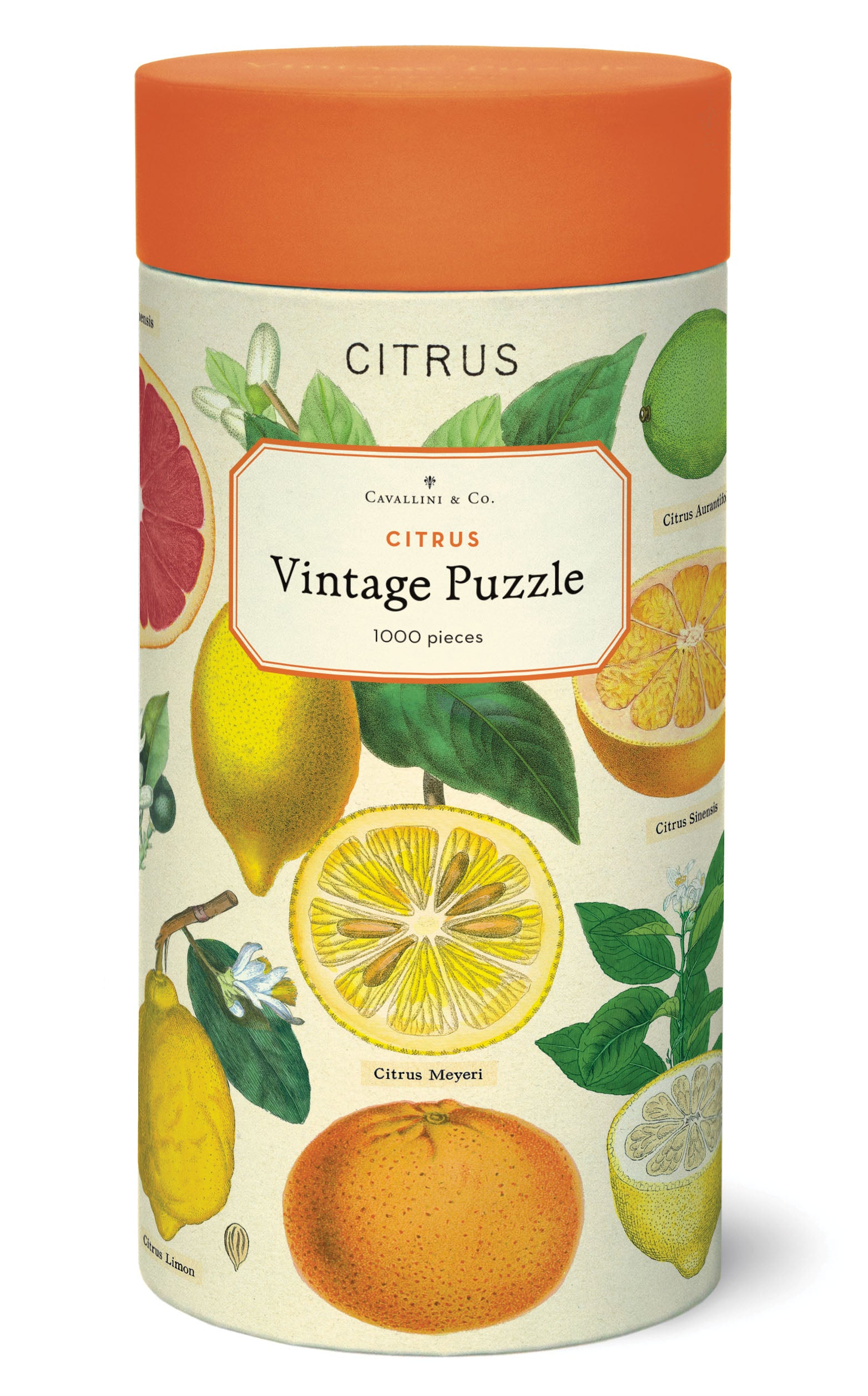 Citrus 
Cavalliine Puzzle 1000 Teile