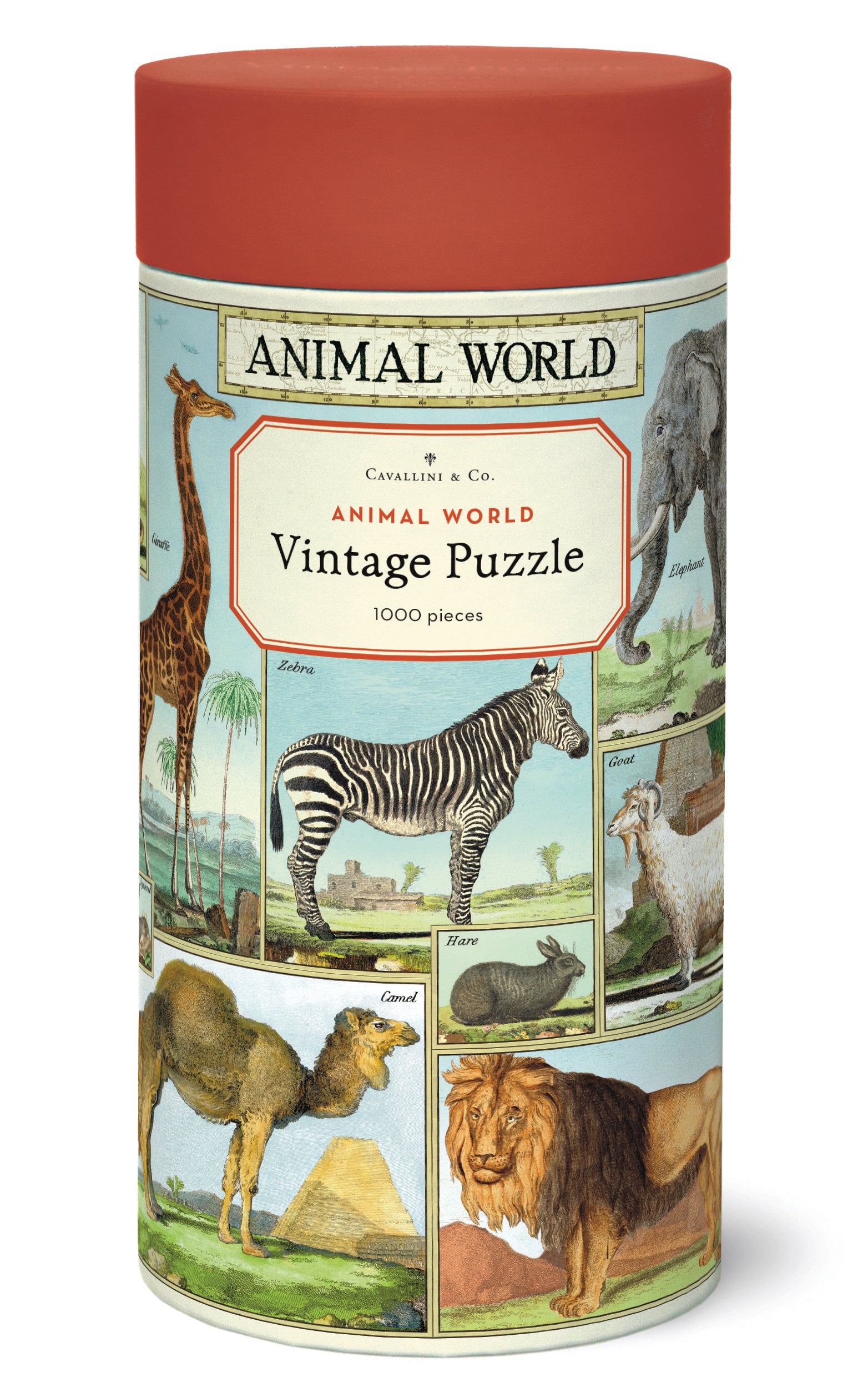 Animal World Cavallini Puzzle 1000 Teile