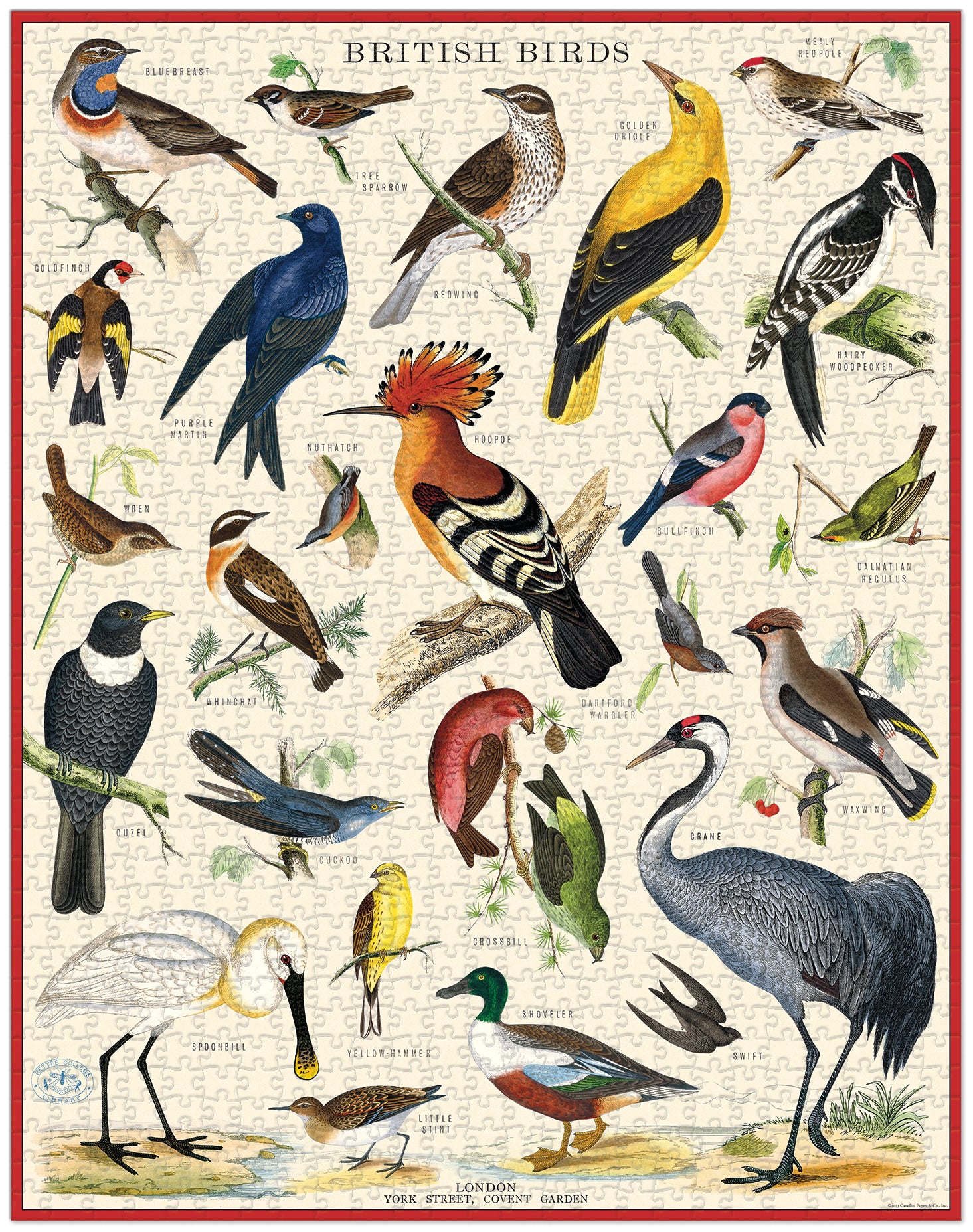 British Birds 
Cavallini Puzzle 1000 Teile