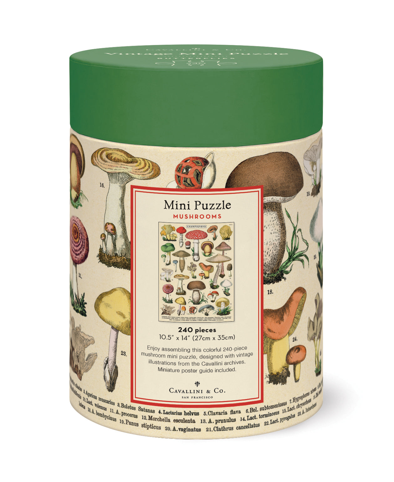 Mini Puzzle Mushrooms 
Cavallini 240 Teile