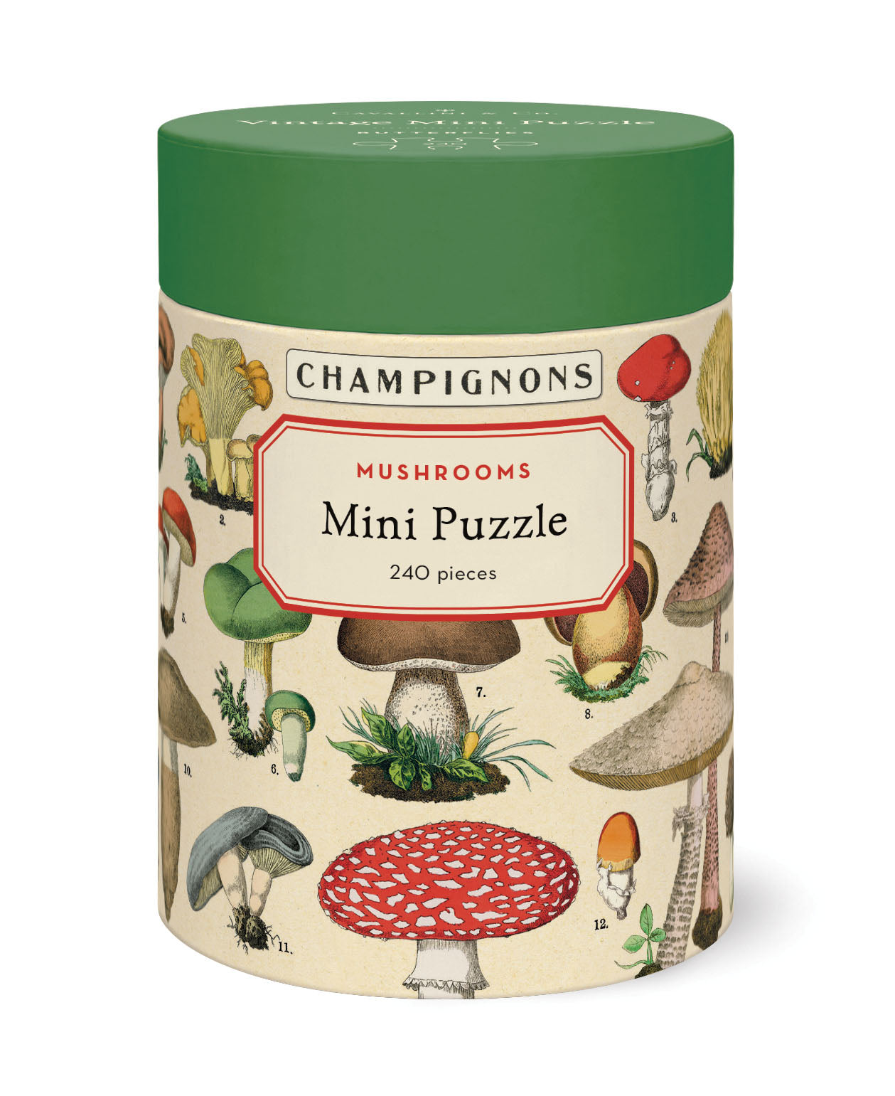 Mini Puzzle Mushrooms 
Cavallini 240 Teile